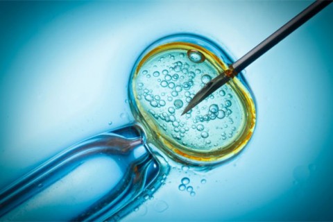 http://shanghai.qqkaixin.com/post/199.html|上海供卵助孕